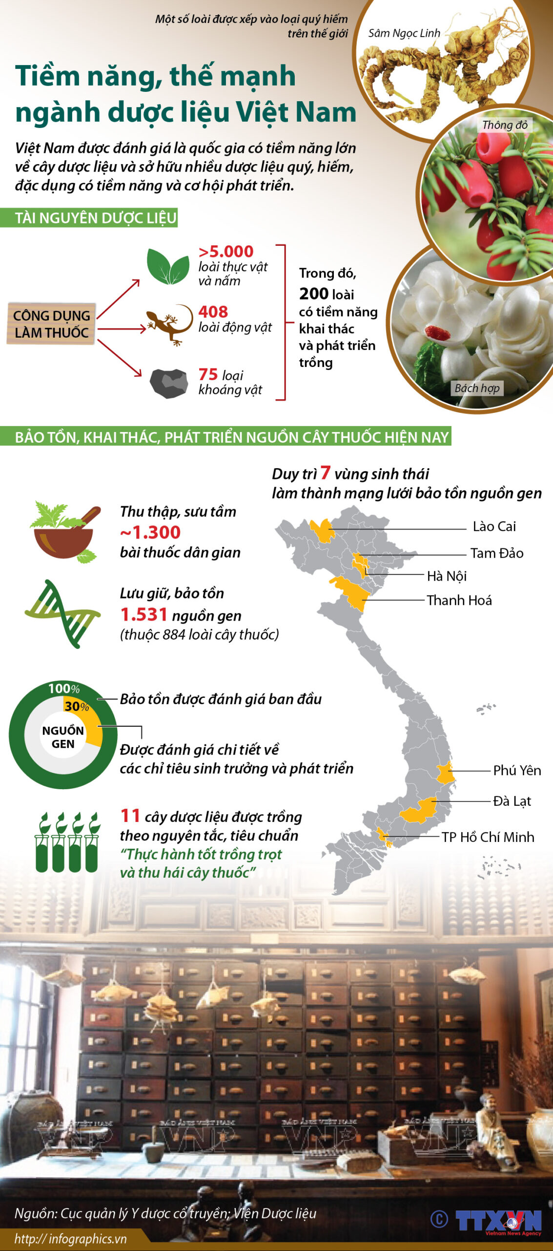 Tiềm năng, thế mạnh ngành dược liệu Việt Nam