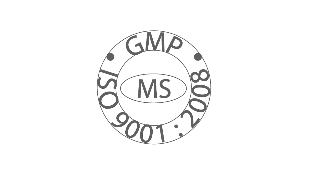MS logo